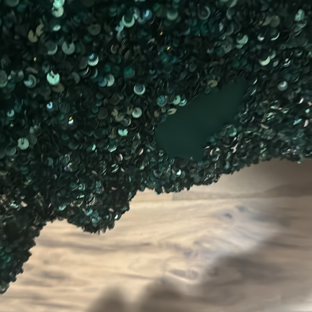 Theia Green Sequin Gown - Picture 8 of 8